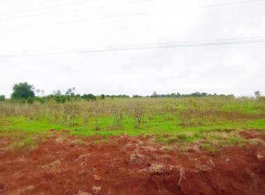 64e5c72c-0492-4800-b2d6-c847c79f9e03